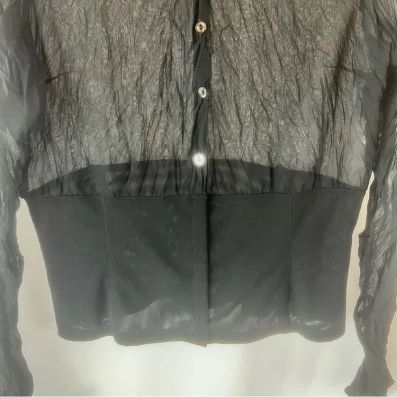 Vintage Blacky dress Berlin sleeved semi-sheer top. Black with Floral Design 8 - Picture 5 of 16